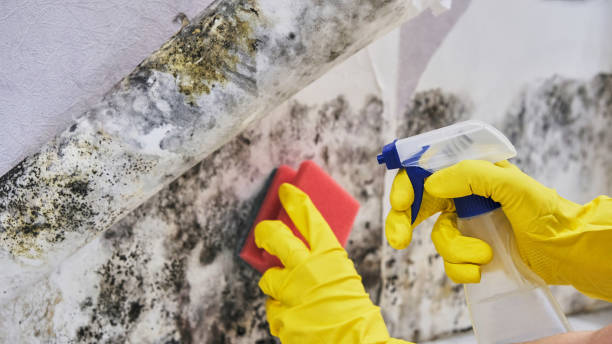  Ford City, PA Water damage restoration Pros